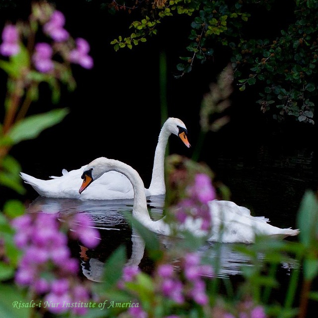 serenity