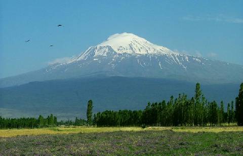 Mt. Ararat