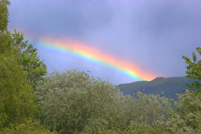 Regenbogen im Sturm